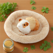 クッション ペット ペット用品 ラウンド 無地 かわいい ふんわり ペットグッズ 小動物 ハムスター モルモット チンチラ モモンガ ベッド 昼寝 ふわふわ 丸型 小さい あったかい 保温 ペット用ベッド ソファ