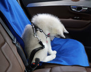 ペット用カーシート ドライブシート カーシートカバー 車用 犬 猫 車載 ペット用品 カー用品 汚れ防止 傷防止 お出かけ ドライブ 旅行 カーアクセサリー ドッグ キャット イヌ いぬ ネコ ねこ キャット