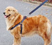 ハーネス リード 首輪 3点セット ペット用品 小型犬 中型犬 猫 デニム 胴輪 胸あて 牽引ロープ 散歩紐 リーシュ サイズ調整可能