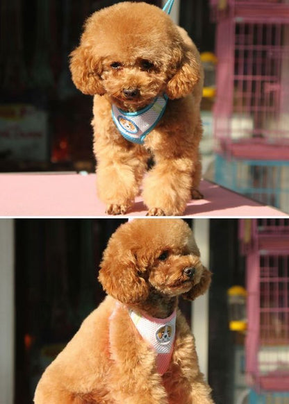 ハーネス リード ２点セット ペット用 犬用 猫用 商品画像2
