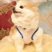 ペットウェア ドッグウェア Tシャツ タンクトップ 犬服 猫服 イヌ ネコ ペット用品 ペットグッズ ノースリーブ 袖なし プリント うさぎ たまご 花 フラワー イースター かわいい おしゃれ イベント お散歩 おでかけ