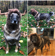 ペット用コスチューム コスプレ帽子 かぶり物 ペット用品 犬用 ウシ 牛 ツノ付き 耳付き かわいい ユニーク 面白い ボア もこもこ ペットグッズ いぬグッズ イヌ用
