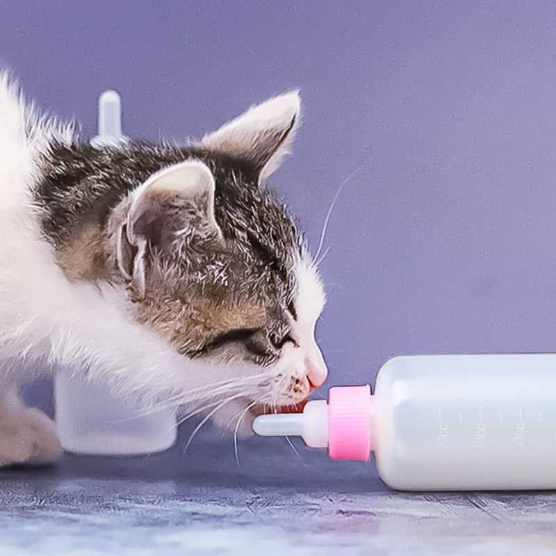 ペット用哺乳瓶 哺乳器 50ml 子猫 子犬 小動物 商品画像3