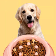 ペット用食器 早食い防止 フードボウル 犬用 猫用 エサ入れ 餌入れ 容器 丸飲み防止 早食い 丸飲み ペットグッズ 犬 猫 食事 ごはん わんちゃん ねこちゃん ペット用品