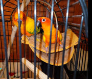 ハンモックテント 小鳥 ステージ ペット用品 インコ 鳥用止まり木 ケージ用 デグー ハムスター チンチラ 小動物 ステージモック もこもこ あったか 起毛素材 防寒 寒さ対策 ペットハンモック 寝床 とり トリ バード