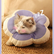エリザベスカラー 猫用 犬用 小型犬 ペット用品 ケア用品 襟巻 枕 フラワー お花 花型 かわいい おしゃれ 傷舐め防止 去勢手術 傷口保護 サイズ調整 防水性 柔軟性