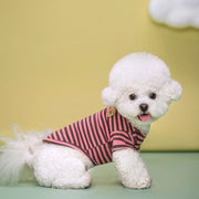 ペットウェア Tシャツ 犬服 猫服 洋服 ドッグウェア キャットウェア 袖あり プルオーバー ボーダー柄 クマ ワンポイント カジュアル お洒落 可愛い ペット服