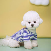 ペットウェア Tシャツ 犬服 猫服 洋服 ドッグウェア キャットウェア 袖あり プルオーバー ボーダー柄 クマ ワンポイント カジュアル お洒落 可愛い ペット服