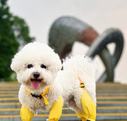 ドッグシューズ レインブーツ レインシューズ 犬用靴 ストラップ ベルト 首輪 一体型 犬用品 ペット用品 小型犬 雨靴 雨具 滑り止め付き ペットグッズ