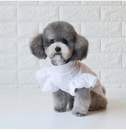 ペット 服 ペットウェア ハイネック Ｔシャツ フリル袖 かわいい ストライプ 小型犬用 犬服 ドッグウェア