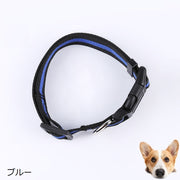 首輪 カラー イヌ 犬 ネコ 猫 小型犬 中型犬 ペットグッズ Dカン ペット用品 お散歩グッズ ライン入り バックル 長さ調節可 シンプル カジュアル ベーシック 定番 お出かけ 散歩 黒 青 赤 橙 ピンク 緑