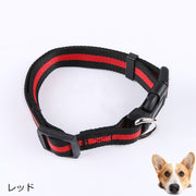 首輪 カラー イヌ 犬 ネコ 猫 小型犬 中型犬 ペットグッズ Dカン ペット用品 お散歩グッズ ライン入り バックル 長さ調節可 シンプル カジュアル ベーシック 定番 お出かけ 散歩 黒 青 赤 橙 ピンク 緑