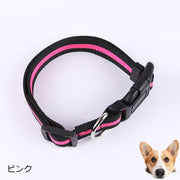 首輪 カラー イヌ 犬 ネコ 猫 小型犬 中型犬 ペットグッズ Dカン ペット用品 お散歩グッズ ライン入り バックル 長さ調節可 シンプル カジュアル ベーシック 定番 お出かけ 散歩 黒 青 赤 橙 ピンク 緑
