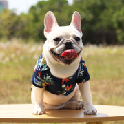 ドッグウェア アロハシャツ 犬服 猫服 ペット用品 キャット 小型犬 袖あり 前あき スナップボタン ハイビスカス パイナップル ヤシの木 おしゃれ かわいい トロピカル 南国風 お出かけ リゾート お散歩 デイリー 普段使い 襟付き いぬ イヌ ねこ ネコ