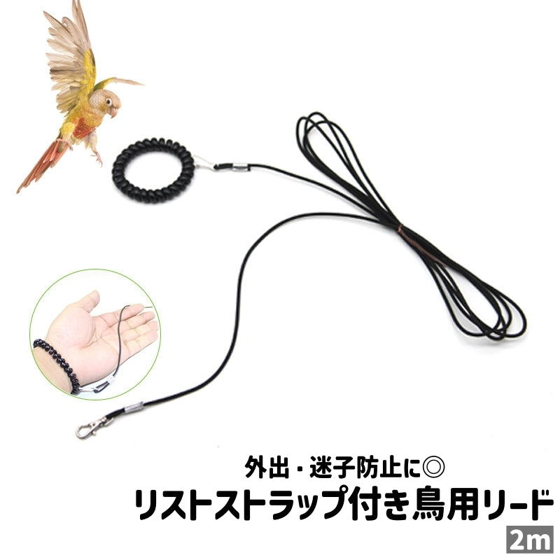 鳥用リード バードリード インコ オウム 小鳥 リード 2m リストストラップ付き シンプル 外出 散歩 お出かけシーン 迷子防止 鳥用品 ペット用品 黒 ブラック