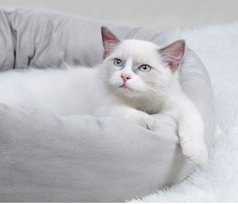 ペットベッド ペットクッション ペット椅子 枕付き ペット用品 猫 商品画像3
