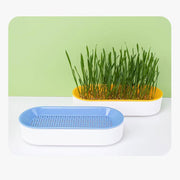 猫草用プランター 水耕栽培 ペット用品 猫 犬 屋内用 室内 栽培 猫草 葉っぱ 毛玉 胃腸 ストレス軽減 便秘予防 ねこ草