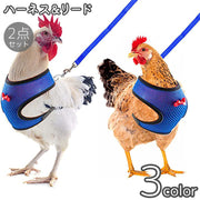 ハーネス リード 2点セット 鶏用 アヒル 鳥用 犬 猫 ペット用品 胴輪 メッシュ Dカン 蝶ネクタイ 通気性 薄手 調節可能 散歩 お出かけ 紐 ロープ かわいい シンプル ニワトリ あひる 鳥類 いぬ ねこ