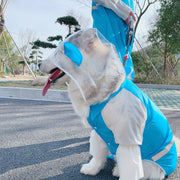 ペットウェア レインコート 飼い主とペット 犬用 レディース メンズ 大型犬 犬服 カッパ 雨合羽 レインウェア  フード付き 耳付き 恐竜 ペアルック お散歩 反射材付 ペット用品