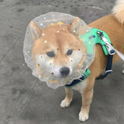 マズル メッシュ 拾い食い防止 マズルカバー 舐め防止 ペット 3枚セット 犬用マズル 小型犬 星柄 伸縮タイプ 拾い食い 噛みつき 舐め対策 トイプードル ビションフリーゼ 散歩  ペット用品 ペットグッズ シンプル