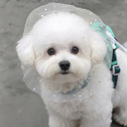 マズル メッシュ 拾い食い防止 マズルカバー 舐め防止 ペット 3枚セット 犬用マズル 小型犬 星柄 伸縮タイプ 拾い食い 噛みつき 舐め対策 トイプードル ビションフリーゼ 散歩  ペット用品 ペットグッズ シンプル