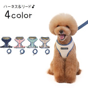 ハーネスリード 2点セット ベストタイプ 犬 猫 ドッグ キャット 小型犬 中型犬 ペット用品 ペットグッズ ハーネス リード 胴輪 無地 メッシュ タグ 単色 Dカン 長さ調節可 散歩紐 牽引紐 リーシュ 通気性 サイドリリースバックル シンプル おしゃれ かっこいい かわいい カジュアル お散歩 ピンク 緑 青 ベージュ