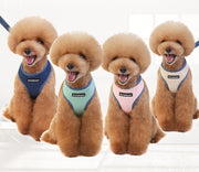 ハーネスリード 2点セット ベストタイプ 犬 猫 ドッグ キャット 小型犬 中型犬 ペット用品 ペットグッズ ハーネス リード 胴輪 無地 メッシュ タグ 単色 Dカン 長さ調節可 散歩紐 牽引紐 リーシュ 通気性 サイドリリースバックル シンプル おしゃれ かっこいい かわいい カジュアル お散歩 ピンク 緑 青 ベージュ