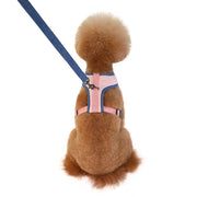 ハーネスリード 2点セット ベストタイプ 犬 猫 ドッグ キャット 小型犬 中型犬 ペット用品 ペットグッズ ハーネス リード 胴輪 無地 メッシュ タグ 単色 Dカン 長さ調節可 散歩紐 牽引紐 リーシュ 通気性 サイドリリースバックル シンプル おしゃれ かっこいい かわいい カジュアル お散歩 ピンク 緑 青 ベージュ
