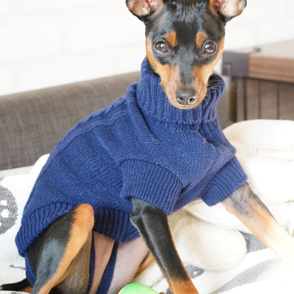 ペットウエア ケーブルニット セーター タートルネック 犬 猫 商品画像2