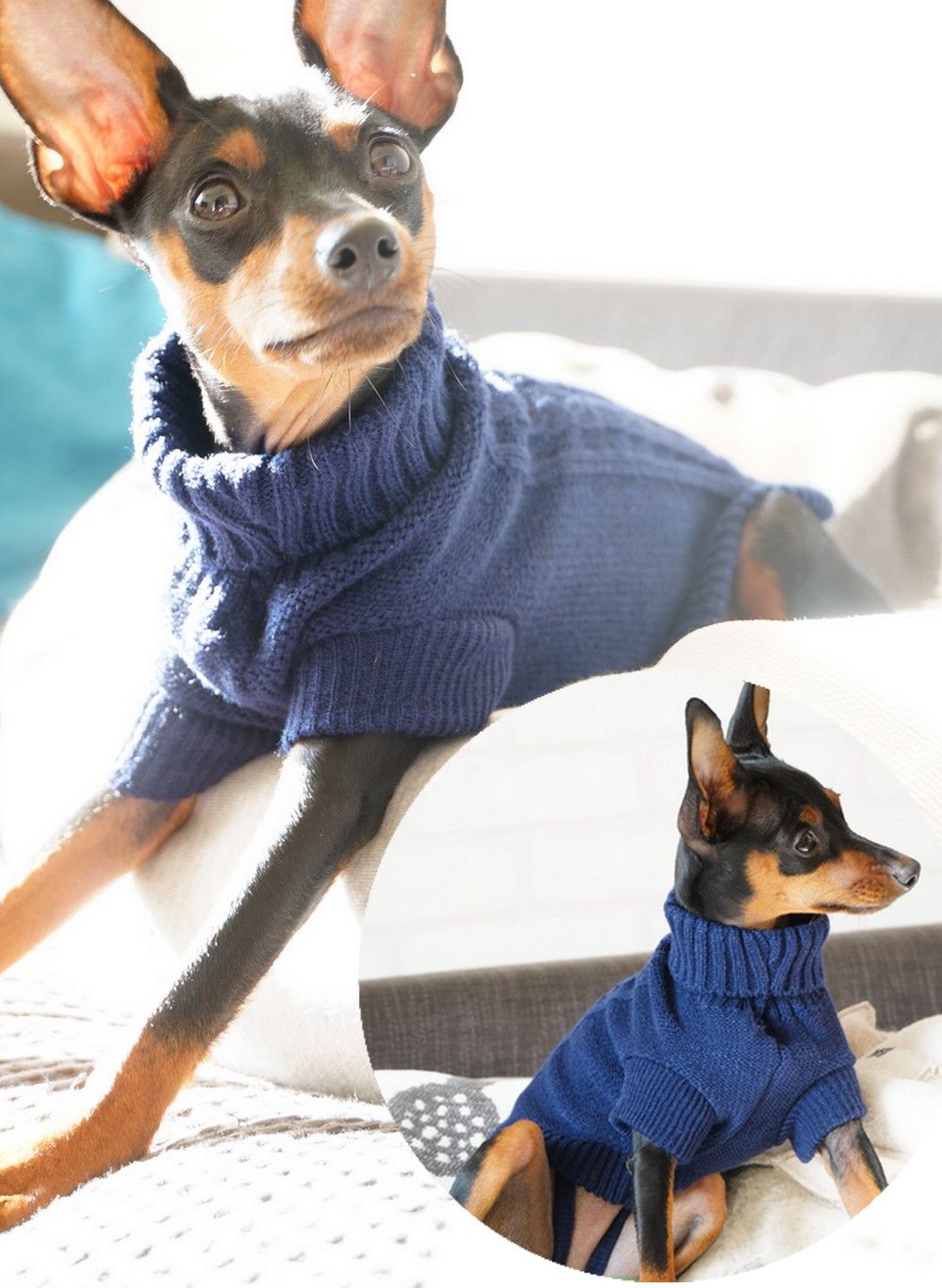 ペットウエア ケーブルニット セーター タートルネック 犬 猫 商品画像3