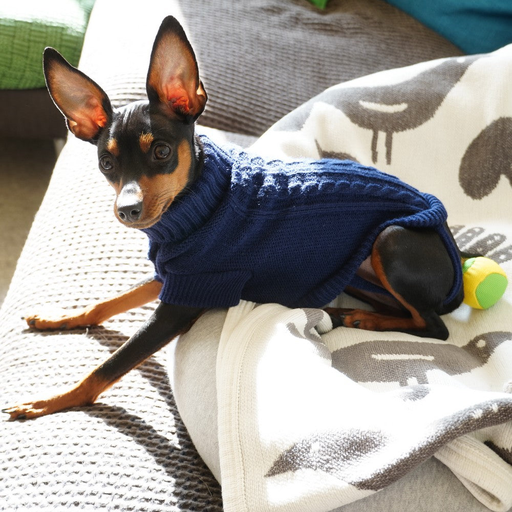 ペットウエア ケーブルニット セーター タートルネック 犬 猫 商品画像4