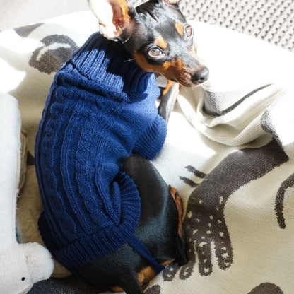 ペットウエア ケーブルニット セーター タートルネック 犬 猫 商品画像5