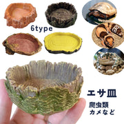 エサ皿 爬虫類 トカゲ カエル ペット用食器 エサ入れ フードトレイ 水入れ カメ ウォーターボウル 水皿 木型 ウッドモチーフ シンプル かわいい おしゃれ 小型
