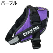 ハーネス 単品 犬用 猫用 ペットグッズ 胴輪 ロゴ バックル シンプル カジュアル 小型犬 中型犬 大型犬 おしゃれ お洒落 お散歩 お出かけ ペット用品 犬用品 犬グッズ