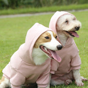 ペットウェア ドッグウェア パーカー 洋服 犬用 フード付き 袖あり さくらんぼ チェリー イラスト プリント ピンク シンプル カジュアル おしゃれ かわいい お散歩 公園 お出かけ 普段使い ペット服 犬の服
