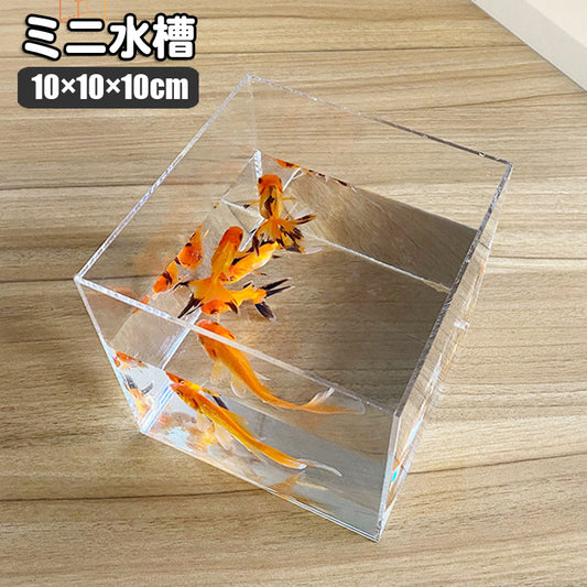 ミニ水槽 ペット用品 インテリア ディスプレイ 四角 スクエア 商品画像