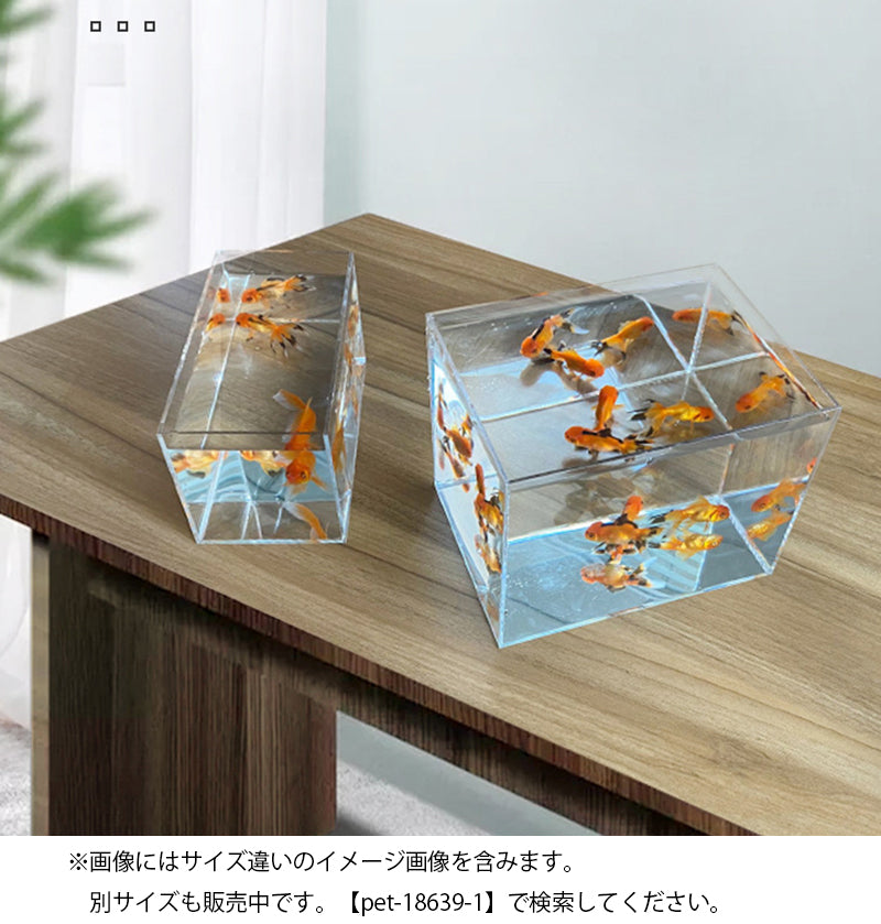 ミニ水槽 ペット用品 インテリア ディスプレイ 四角 スクエア 商品画像2