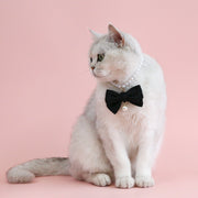 ペット用ネックレス 猫用 小型犬 チョーカー 首飾り アクセサリー パール調 リボン アジャスター付き フェイクパール ネコ用 イヌ用 可愛い おしゃれ おめかし 華やか 撮影 ペットグッズ