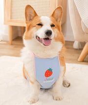 泥よけエプロン レインエプロン お散歩エプロン ペット用エプロン コーギー犬 お散歩用品 ドッグウェア ペットウェア 犬用 小型犬 中型犬 お散歩 お出かけ レイングッズ 雨カッパ 汚れ防止 泥はね防止 ビーグル ダックスフンド 男の子用 女の子用 泥除け ペット用品 足が短い犬種用