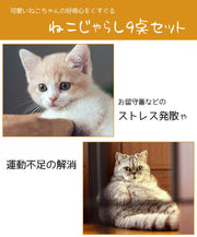 ねこじゃらし 猫のおもちゃ 9点セット 釣り竿タイプ 猫じゃらし キャットトイ 羽 フェザー 猫グッズ ペット用品 ストレス解消 玩具