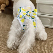 犬用サニタリーパンツ マナーパンツ 生理用パンツ 猫用 ネコ用  おむつカバー ペット用品 面ファスナー マジック テープ 簡単装着 犬用サニタリーショーツ マーキング対策 尿もれ対策 ドッグウェア イヌ用