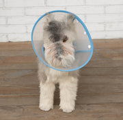 エリザベスカラー ペット用 犬用品 猫用品 小型犬 中型犬 ソフトタイプ 水玉 ドット シンプル スナップボタン 傷舐め防止 噛み防止 ひっかき防止 半透明 ケア用品
