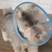 エリザベスカラー ペット用 犬用品 猫用品 小型犬 中型犬 ソフトタイプ 水玉 ドット シンプル スナップボタン 傷舐め防止 噛み防止 ひっかき防止 半透明 ケア用品