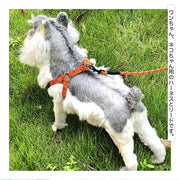 ハーネス リード 犬用 小型犬 中型犬 大型犬 猫用 ペット用品 ペットグッズ 単品 柄入り サイズ調節可能 着脱簡単 縄 シンプル おしゃれ かわいい お出かけ 散歩 外出 外遊び 公園 レッド ピンク グリーン ブルー オレンジ