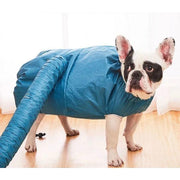 ペット用ドライスーツ 乾燥ケース 乾燥袋 ドライヤー 犬用 猫用 ペット用品 防水オックスフォード 速乾 トリマー ハンズフリー