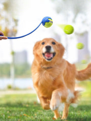 ボールランチャー 単品 1個 ペットグッズ 犬用品 おもちゃ ペット用 小型犬 中型犬 大型犬 ボール投げ ペット用ボール 室外 遊び 玩具 留守番 運動不足 かわいい 便利