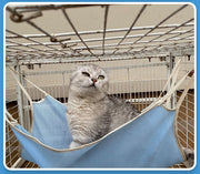 猫用 ハンモック ベッド ケージ用 犬 ペット用品 吊り下げ 取り付け簡単 フック付き メッシュ 通気性 涼しい 春夏 洗える