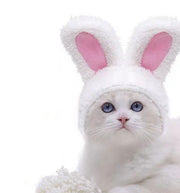 ペット用コスプレ帽子 被り物 かぶりもの 頭巾 犬 猫 コスチューム 仮装 変装 ハロウィン クリスマス パーティー おしゃれ かわいい 写真撮影 イベント