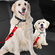ペット用シートベルト 乗車用ベルト 犬用 猫用 車専用リード ドライブ おでかけ 簡単装着 飛び出し防止 シンプル カラバリ豊富 ペット用品 ペットグッズ いぬ イヌ ねこ ネコ
