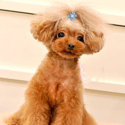 ペット用アクセサリー ヘアアクセ ヘアクリップ 犬用 猫用 小動物 ヘアピン ラインストーン フラワー かわいい ミニサイズ キュート おしゃれ ペット用品 ペットグッズ わんちゃん ねこちゃん